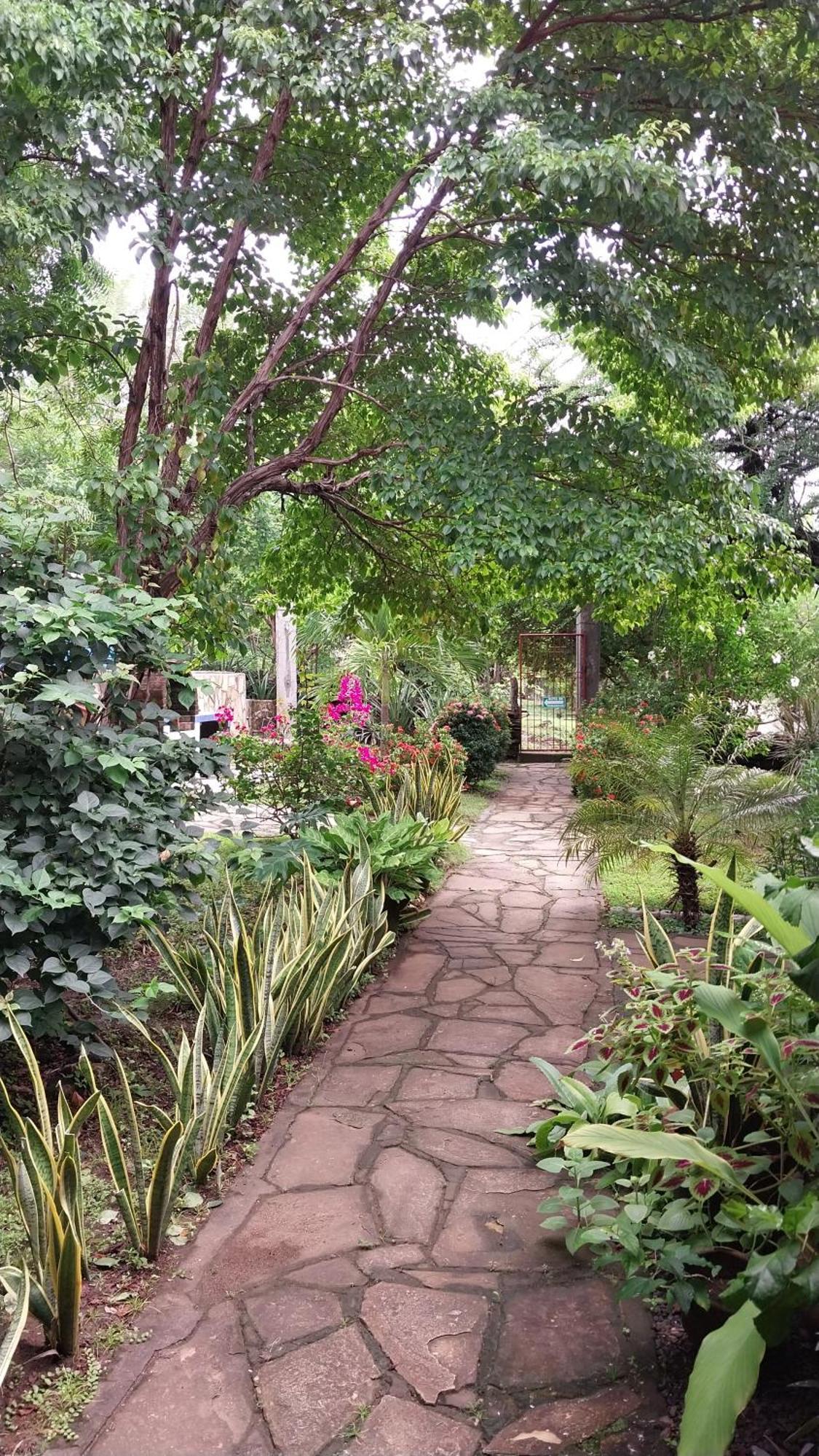 Casa Todo Bueno Bed & Breakfast Transito Ngoại thất bức ảnh