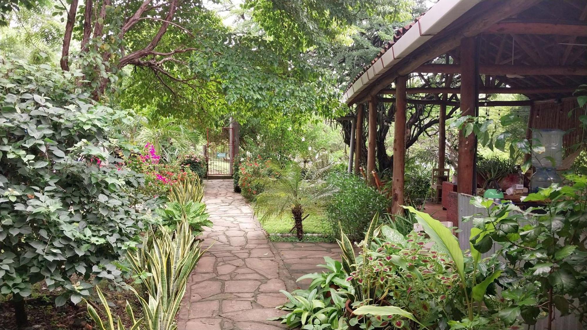 Casa Todo Bueno Bed & Breakfast Transito Ngoại thất bức ảnh