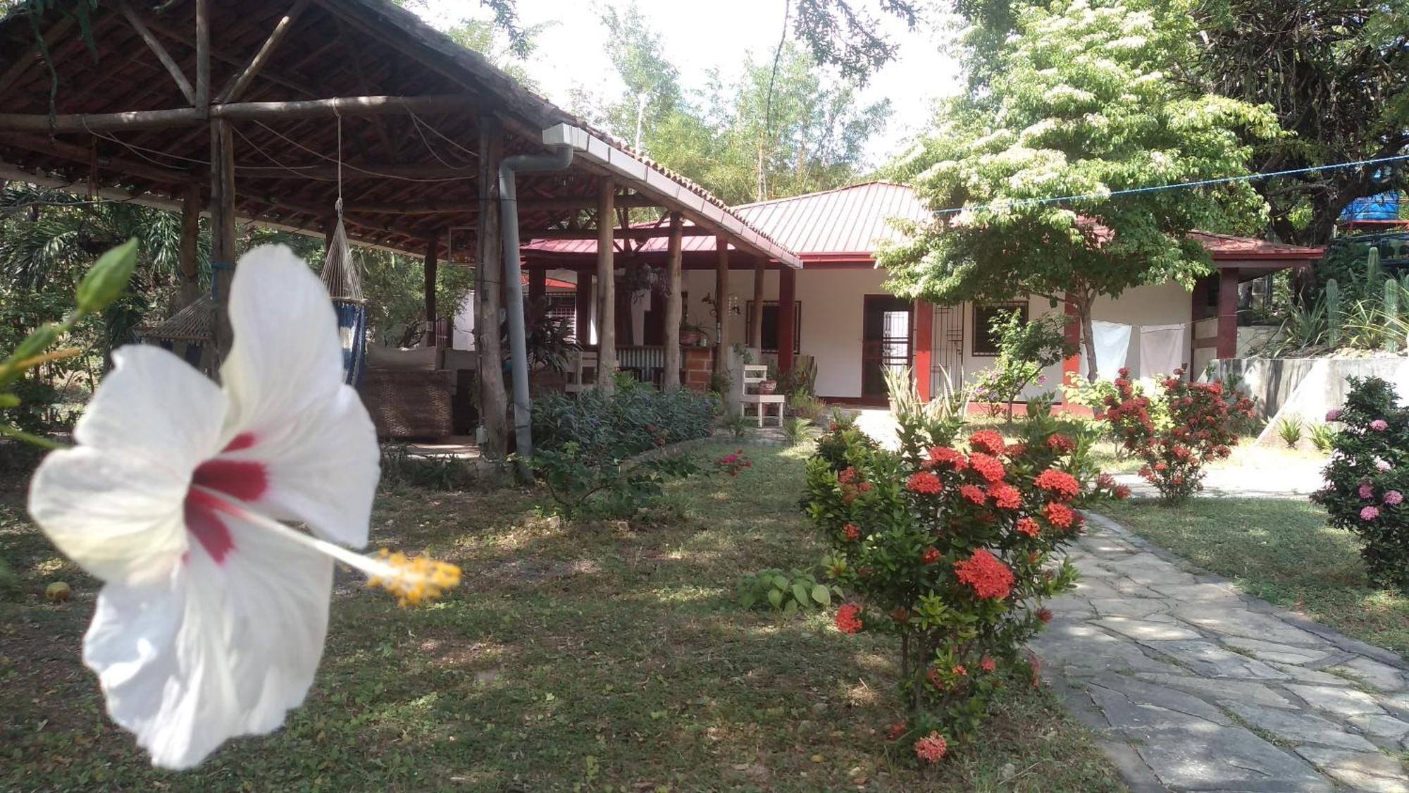 Casa Todo Bueno Bed & Breakfast Transito Ngoại thất bức ảnh